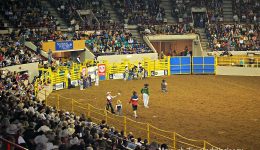 The National Western Stockshow is held every January in Denver.