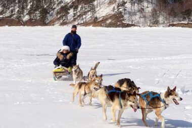 Best Destinations for Travel Adventures include dog-sledding in Siberia.
