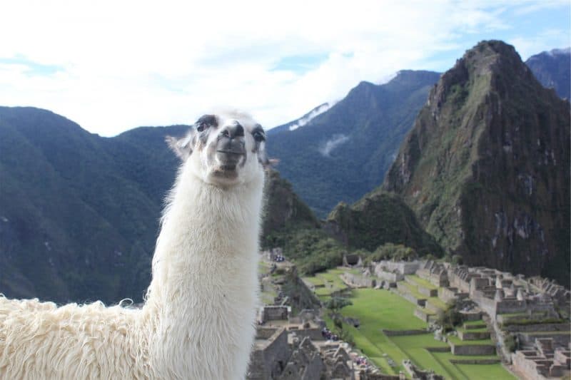 Who doesn't dream of the iconic and historic view of Machu Picchu, Peru? 