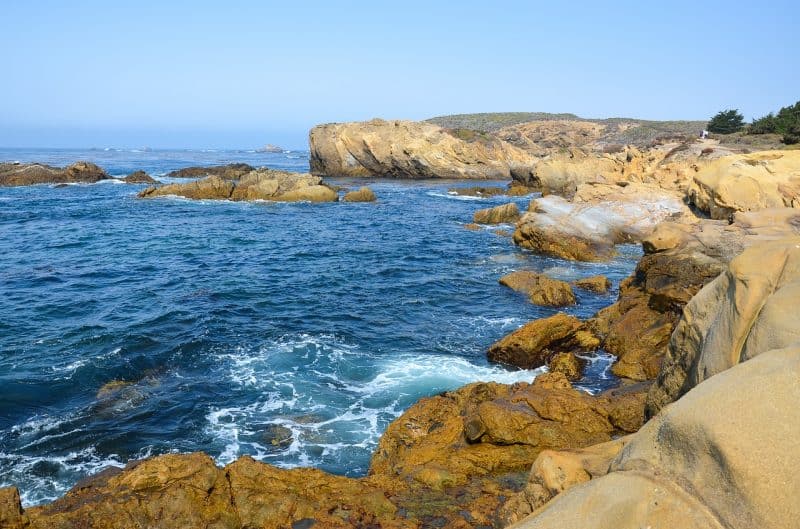 Reasons the West Coast is the best coast include Point Lobos State Natural Reserve and these coastal views. 