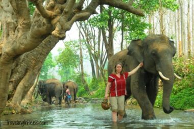 Amazing Adventures in Chiang Mai, Thailand include elephant trainer for a day at Patara Elephant Farm.