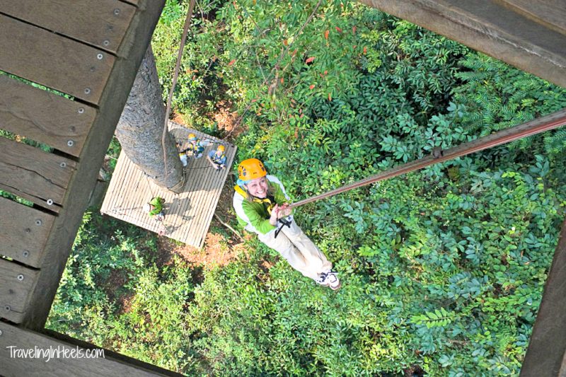 One of several 'drops' on ziplines at canopy tour in the Chiang Mai area. People are lowered from one platform to another. Jungle Flight has 22 ziplines, two sky bridges, a spiral staircase and a suspended "swing walk." One of the ziplines is 300 meters (nearly 1,000 feet) long.