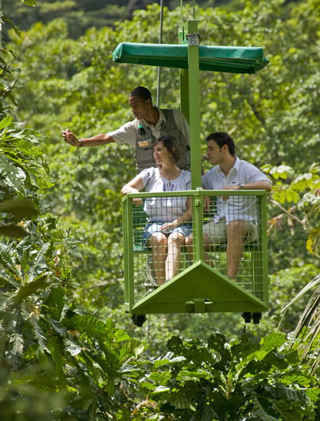 Travel Deal to Westin Playa Bonita includes a Gamboa Rainforest tour puts guests in close contact with local wildlife.