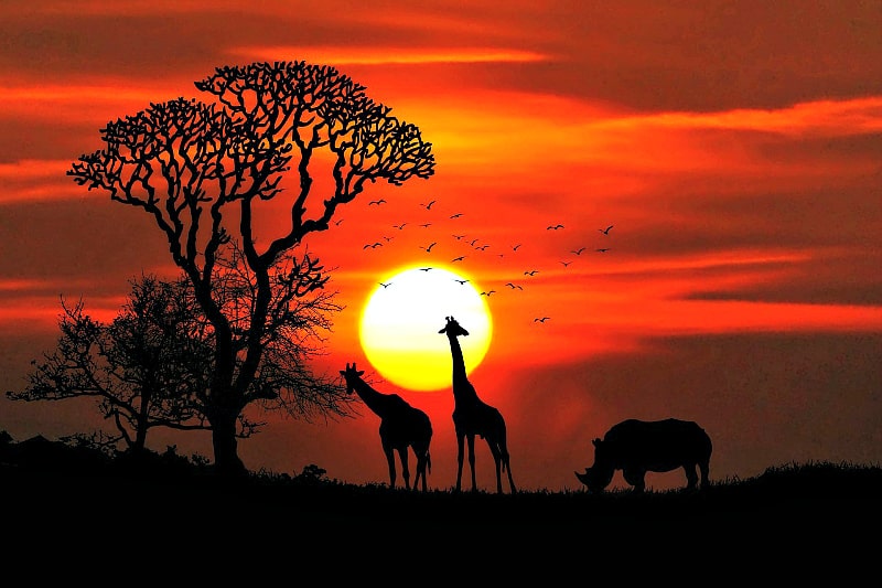 One of the best ways to experience Africa is its sunsets.