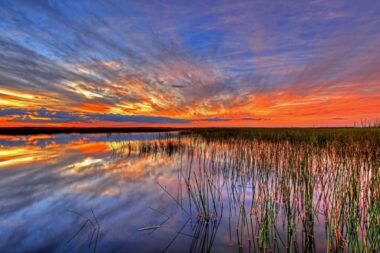 Everglades National Park is a 1.5-million-acre wetlands preserve on the southern tip of the U.S. state of Florida.