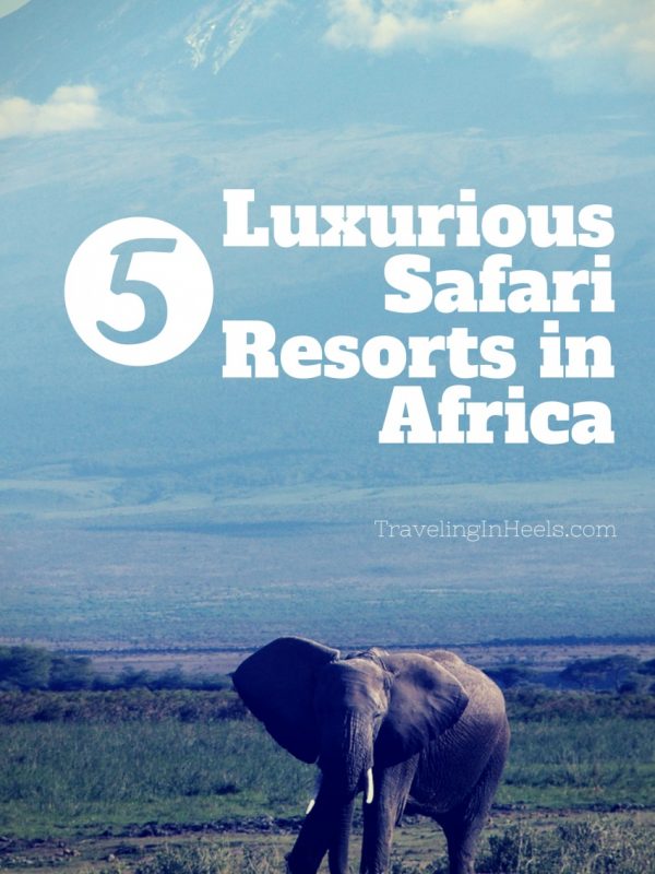 5 Luxurious Safari Resorts in Africa #Africansafari #luxuryAfricansafariresorts