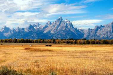 Stay in Jackson Hole and enjoy the Grand Tetons in the fall with Cabin Rentals in the Mountains.