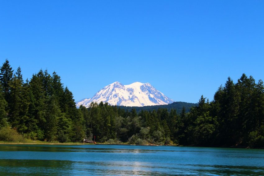 One of your amazing cabin rentals in the mountains should include a visit to Mt. Rainier in Washington. 