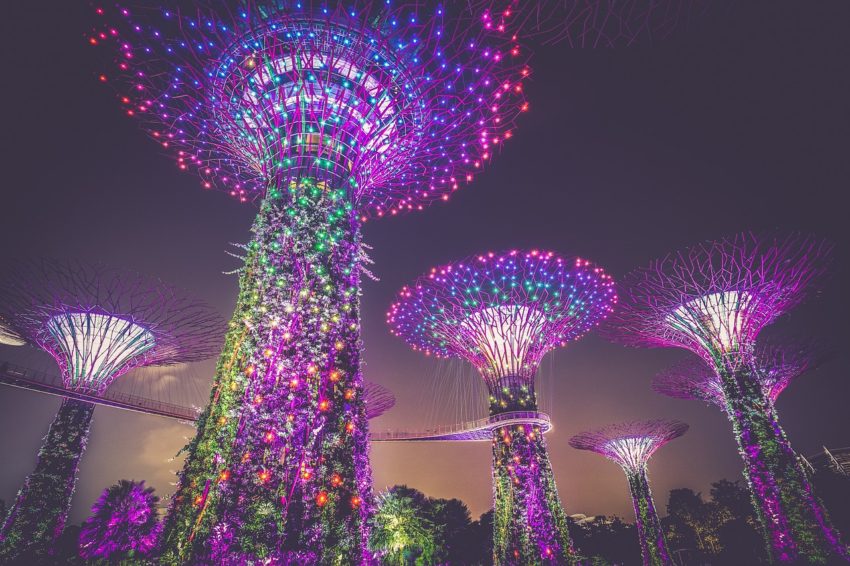 Singapore's magnificent Supertrees will dazzle visitors with the music and lights, entertaining daily during the Garden Rhapsody light and sound shows.