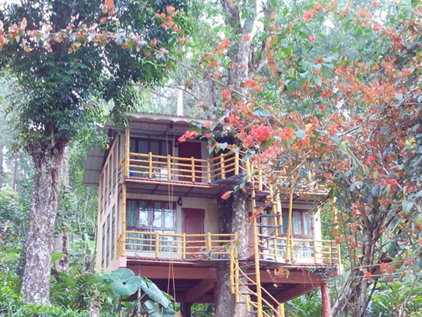 Jungle Jive Tree House Munnar is located in Munnar district, 9.3 miles away from Munnar Town