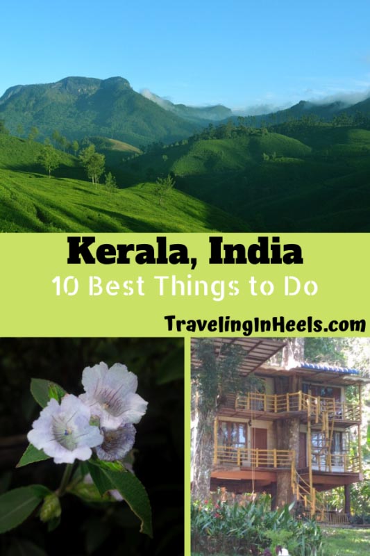 From national parks and wildlife to stays in tree houses, these are best 10 things to do in Kerala, India. #Indiatravel #keralaindia #familyvacation #multigenerational #multigentravel