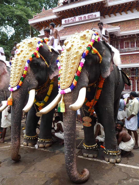  One of the most colorful temple festivals in India is celebrated in Thrissur, Kerala, in the Malyalam month of Medom (usually around April-May)