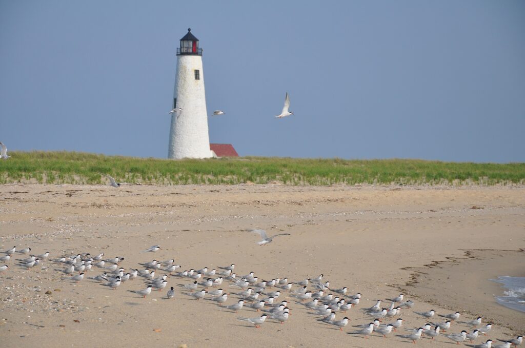 Nantucket, a tiny, isolated island off Cape Cod, Massachusetts, is a summer destination with dune-backed beaches.