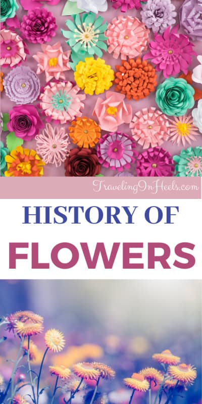 From prehistoric times to today, learn more about the history of flowers #flowers #historyofflowers #daisies #prehistoricflowers