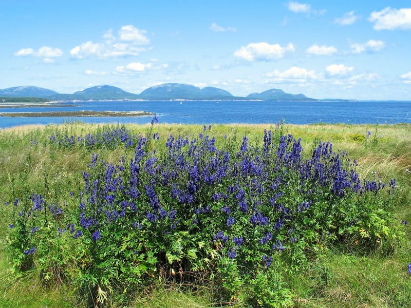 Acadia National Park is a 47,000-acre Atlantic coast recreation area primarily on Maine's Mount Desert Island.
