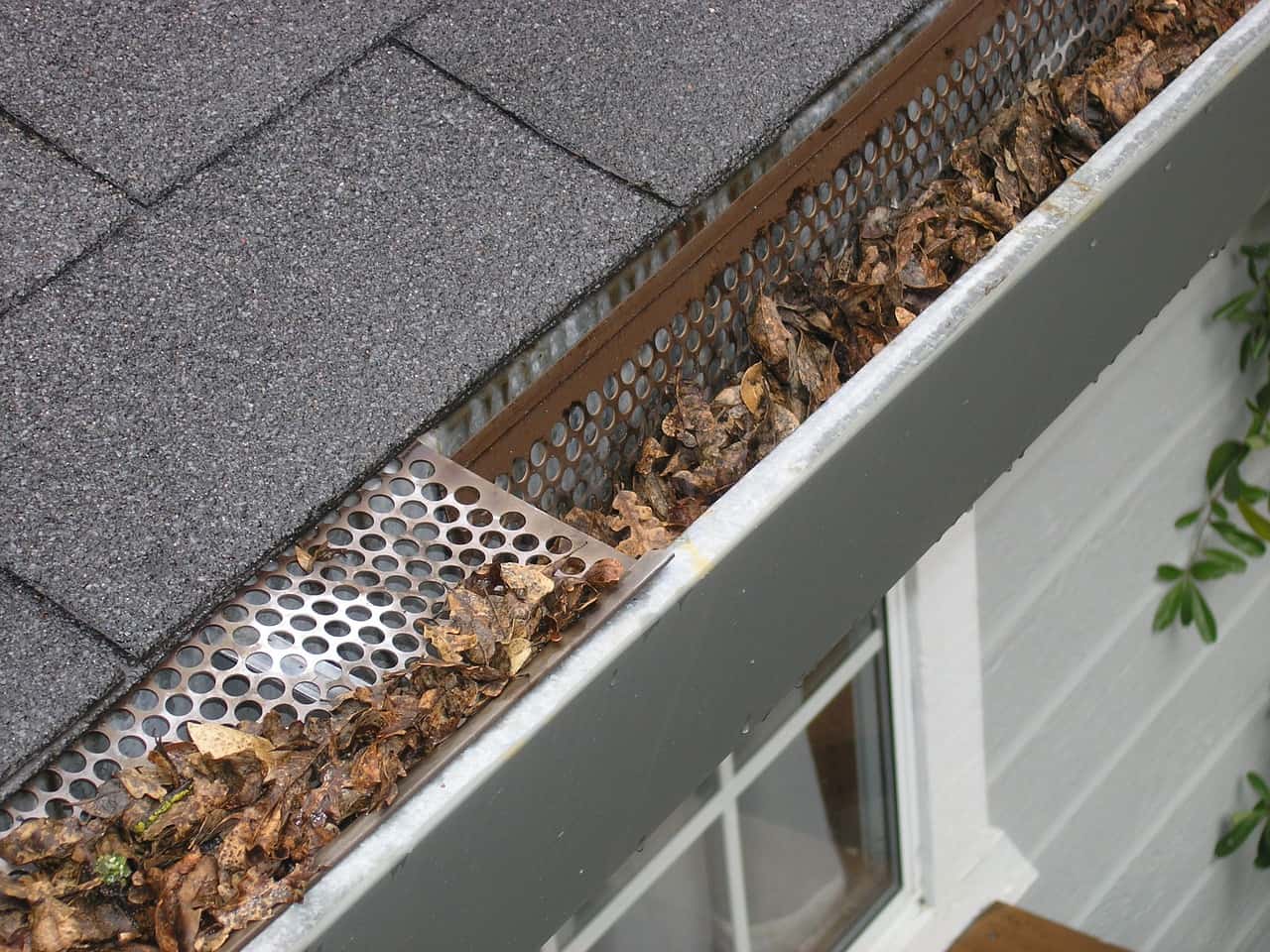 Pest prevention tips includes checking and clearing gutters on your home.