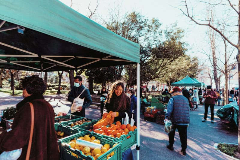 local farmers market
