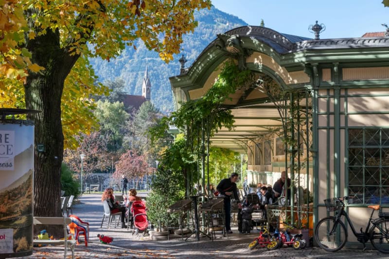 neighborhood travel like a local